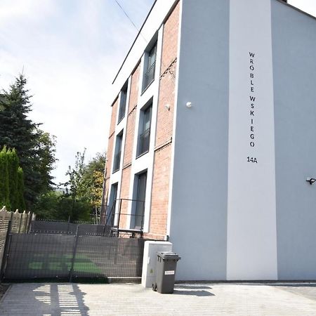 Katowice Chorzow Park Stadion Slaski Apartmenty Семяновице-Слёнске Экстерьер фото